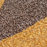 Piso drenante monolítico com seixos de quartzo | Drenopav